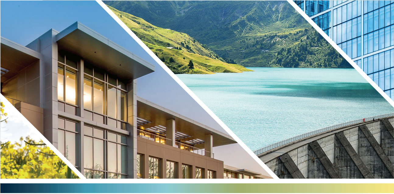 Private Alternatives Outlook 2021: The New Normal?